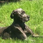 Matthew Zickafoose - @matthewzickafoose - Instagram
