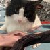 Matthew Ziejewski - Facebook