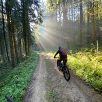 Matthias Hamm - @matthias.hamm - Instagram