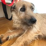 Matthias - @matthias_kersten - Instagram