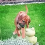 Matthias Kersten - @matthias.kersten - Instagram