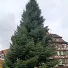 Matthias klein - @matthiasklein13 - TikTok