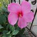 Matthias Schuster - Facebook