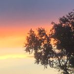 Mattie Cobb - @mattie_2004 - Instagram