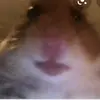 Mattie Coe465 - @mattiecoe08 - TikTok