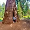 Mattie Edwards - @mattie.edwards88 - TikTok