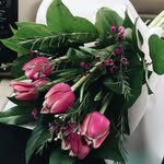 Mattie Fields - @mattiefields9766 - Instagram
