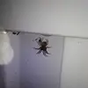 Matt Gates - @matt.gates4 - TikTok