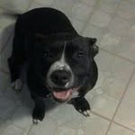 Matt Helm - @matt.helm.5836 - Instagram