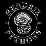 Matthew Hendrix - @hendrixpythons - Instagram