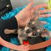 Mattie Hester - Facebook