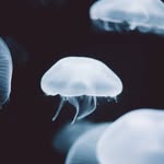 matthew kimble - @cleanup36695 - Instagram