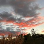 Mattie Patterson - @mattiepatterson60 - Instagram