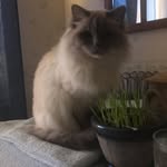 Maud Johansson - @maud.johansson.1466 - Instagram