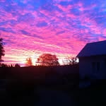 Maud Johansson - @maud64345 - Instagram