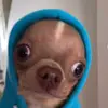 Mlg29 - @maude.leblanc29 - TikTok