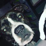 MaudeLéonard - @maudekern9988 - Instagram