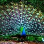 maung min - @maung1249 - Instagram