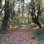 Maura Roche - @mauraroche4 - Instagram