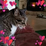 Maureen Abbott - @maureen.abbott.5 - Instagram