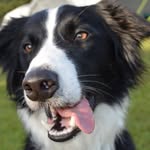 Maureen Abbott - @maureenabbott38 - Instagram