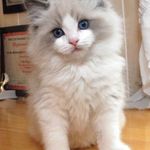 Maureen A. Bell - @maureena.bell - Instagram