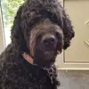 Georgie - @maureensadler - TikTok