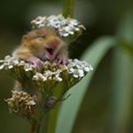 Maureen Adler - @adlermaureen - Instagram