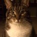 Maureen Ahl - Facebook