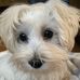Maureen Ahlert - Facebook