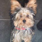 Maureen Allan - @littlemo54 - Instagram