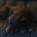 Maureen Coyne-Allred - @coyneallred - Instagram