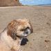 Maureen Amos - Facebook