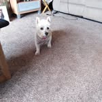 Mauteen Amos - @maureen_amos_ - Instagram