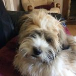 Maureen Andrews - @maureen.andrews8 - Instagram