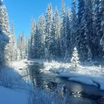 Maureen Graham Andrews - @maureengrahamandrews - Instagram