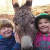maureenanthony43 - @maureenanthony43 - TikTok