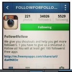 Maureen Appel - @tessybarn - Instagram