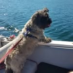 Maureen Arthur - @littles_and_big - Instagram