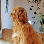 Maureen Arthurs - @maureen.arthurs.5 - Instagram