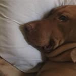 Maureen Bachman - @maureen.bachman - Instagram