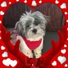 Maureen Beckman - @maureen.beckman - TikTok