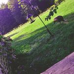 Maureen Baird - @your_not_my_dad2003 - Instagram