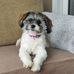 Maureen Banks - Facebook