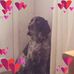 Maureen Banks - Facebook
