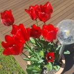 maureenbarbarich - @maureenbarbarich2 - Instagram