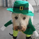 Maureen Barlow - @maureenbarlow68 - Instagram