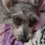 Maureen Barrón - @maureen.barron.73 - Instagram