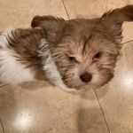 Maureen Barron - @bela402c - Instagram