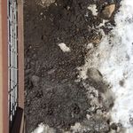 Maureen Bartel - @mikemaureenbartel - Instagram